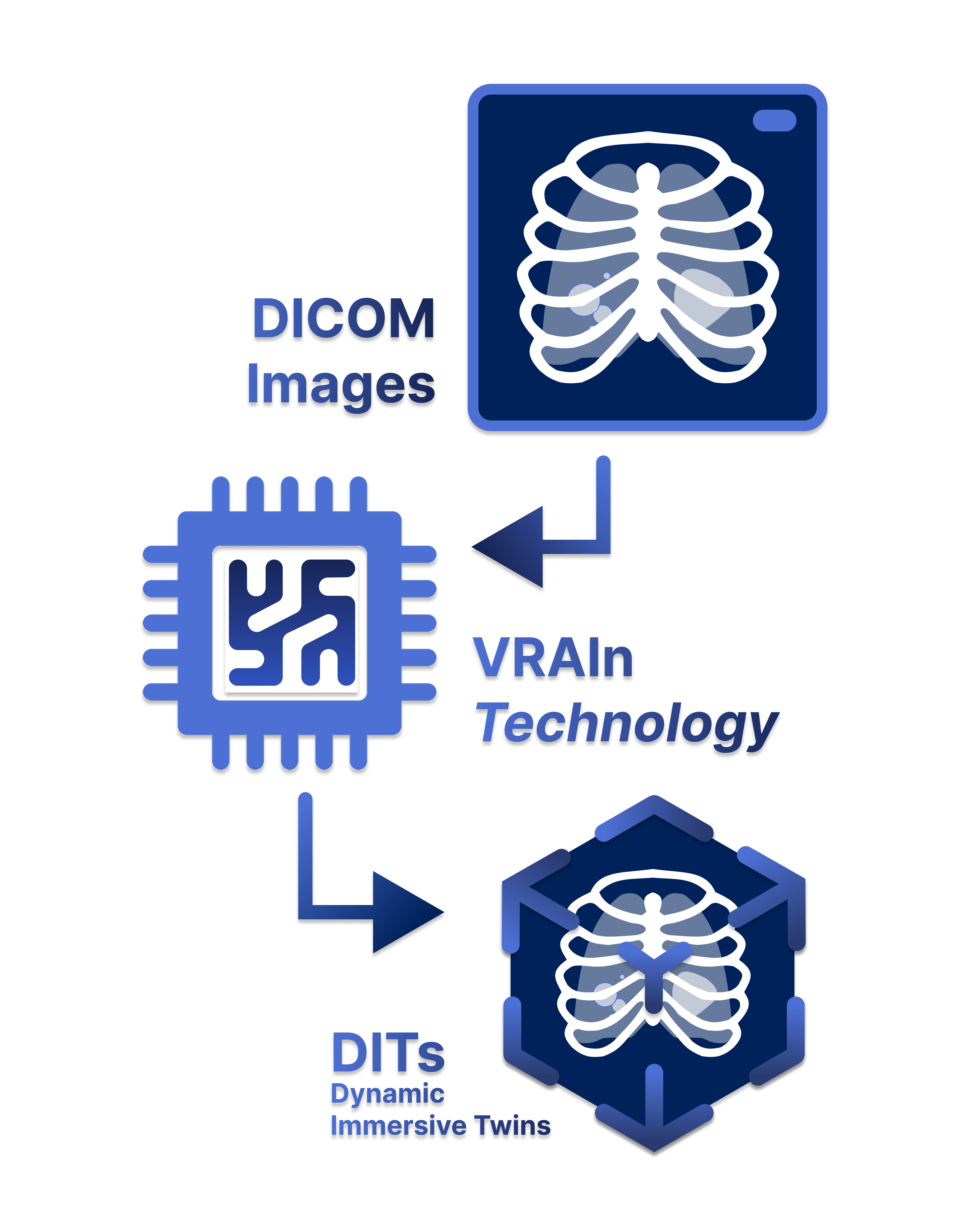 VRAIn Technology Workflow Diagram